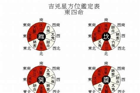 离卦 东四命|东四命西四命速查表 命卦对照表 (1930年~2043年)